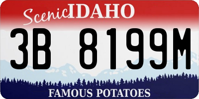 ID license plate 3B8199M