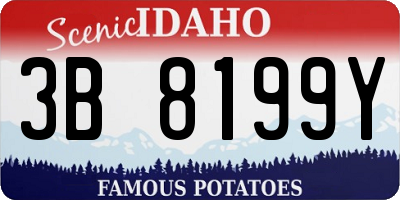 ID license plate 3B8199Y