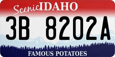 ID license plate 3B8202A