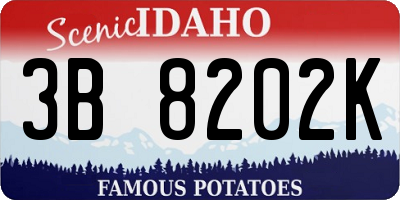 ID license plate 3B8202K