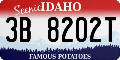 ID license plate 3B8202T