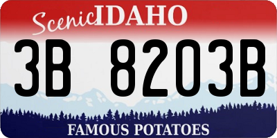 ID license plate 3B8203B