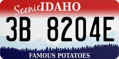 ID license plate 3B8204E