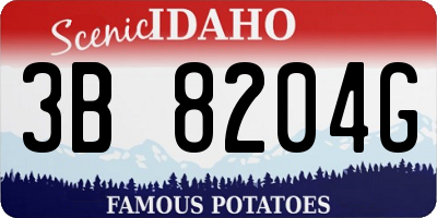 ID license plate 3B8204G