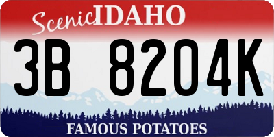 ID license plate 3B8204K