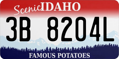 ID license plate 3B8204L