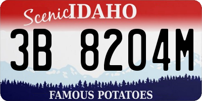 ID license plate 3B8204M