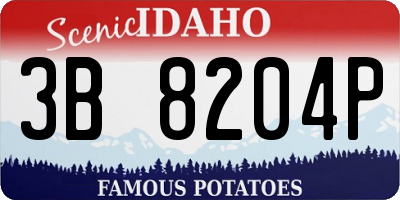ID license plate 3B8204P