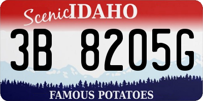 ID license plate 3B8205G