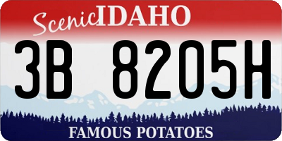 ID license plate 3B8205H