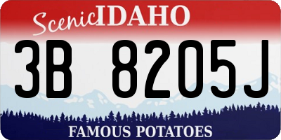 ID license plate 3B8205J