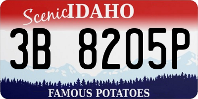 ID license plate 3B8205P