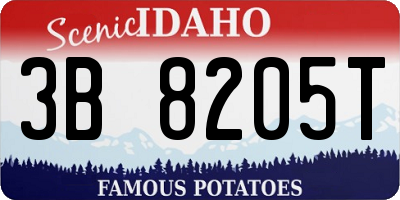 ID license plate 3B8205T