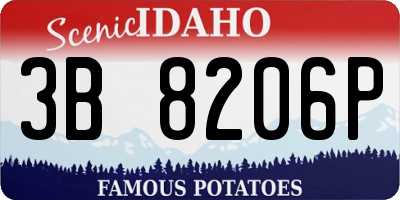 ID license plate 3B8206P