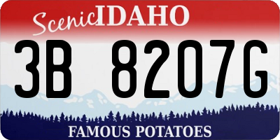 ID license plate 3B8207G