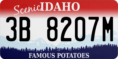 ID license plate 3B8207M
