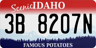 ID license plate 3B8207N