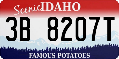 ID license plate 3B8207T