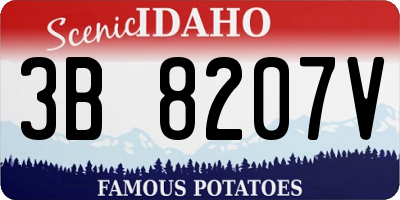 ID license plate 3B8207V