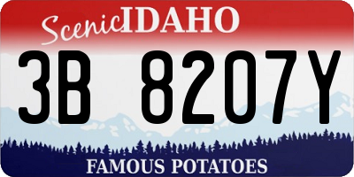 ID license plate 3B8207Y