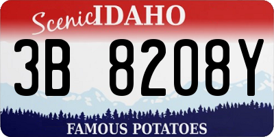 ID license plate 3B8208Y