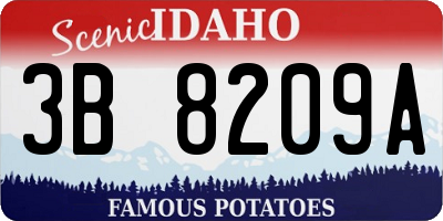 ID license plate 3B8209A