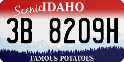ID license plate 3B8209H