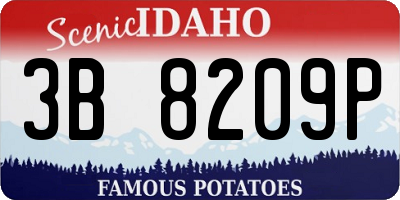 ID license plate 3B8209P