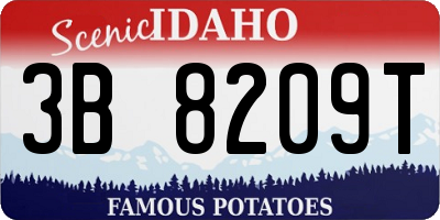 ID license plate 3B8209T