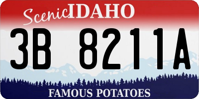 ID license plate 3B8211A