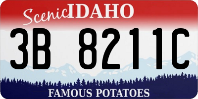 ID license plate 3B8211C