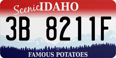 ID license plate 3B8211F