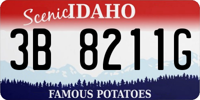 ID license plate 3B8211G