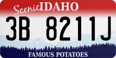 ID license plate 3B8211J