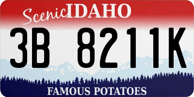 ID license plate 3B8211K