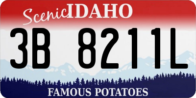 ID license plate 3B8211L