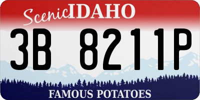 ID license plate 3B8211P