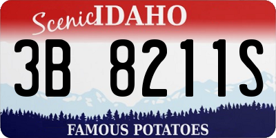 ID license plate 3B8211S