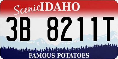 ID license plate 3B8211T