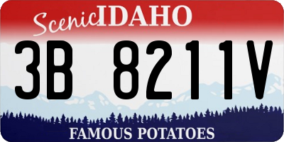 ID license plate 3B8211V