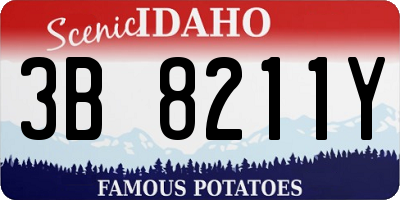 ID license plate 3B8211Y