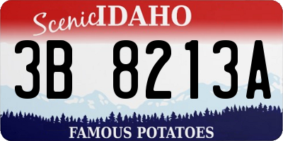ID license plate 3B8213A