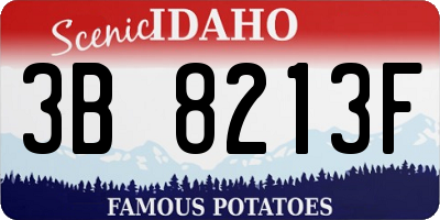 ID license plate 3B8213F