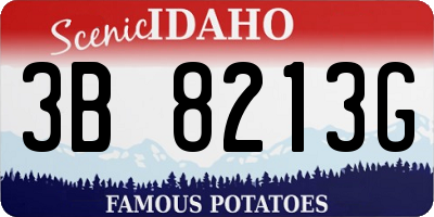 ID license plate 3B8213G