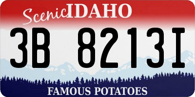 ID license plate 3B8213I