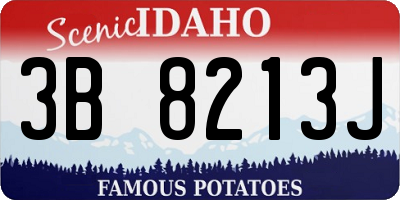 ID license plate 3B8213J