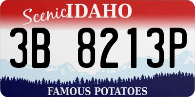 ID license plate 3B8213P