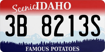 ID license plate 3B8213S