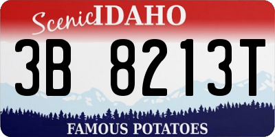 ID license plate 3B8213T