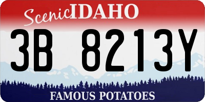 ID license plate 3B8213Y
